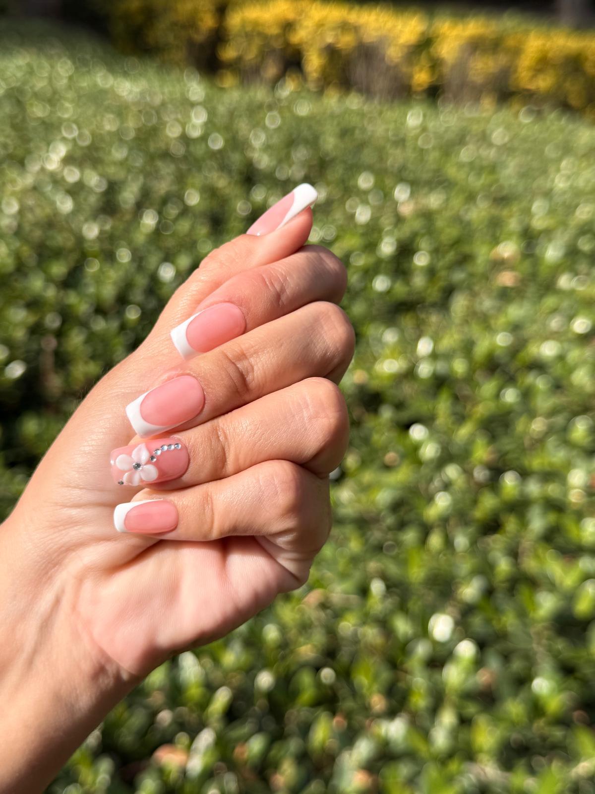 Love in French Collection